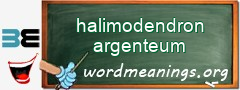 WordMeaning blackboard for halimodendron argenteum